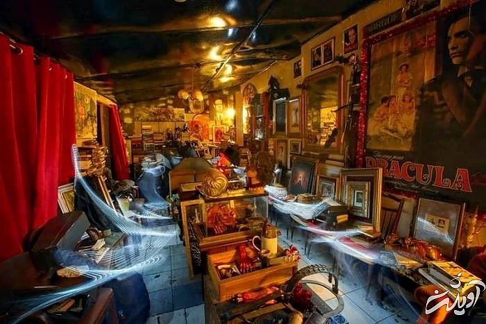 موزه خون آشام ها